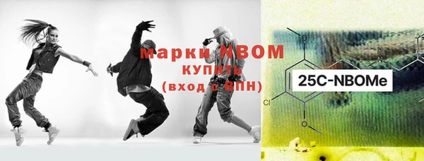 2c-b Новозыбков