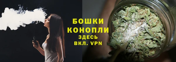 трава Абаза