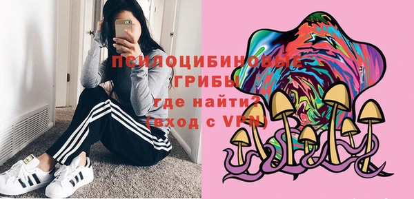 ECSTASY Абинск