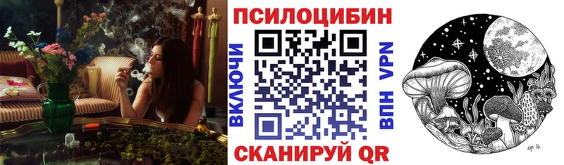 Галлюциногенные грибы MAGIC MUSHROOMS  как найти наркотики  Никольск 